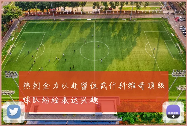 热刺全力以赴留住武什科维奇顶级球队纷纷表达兴趣